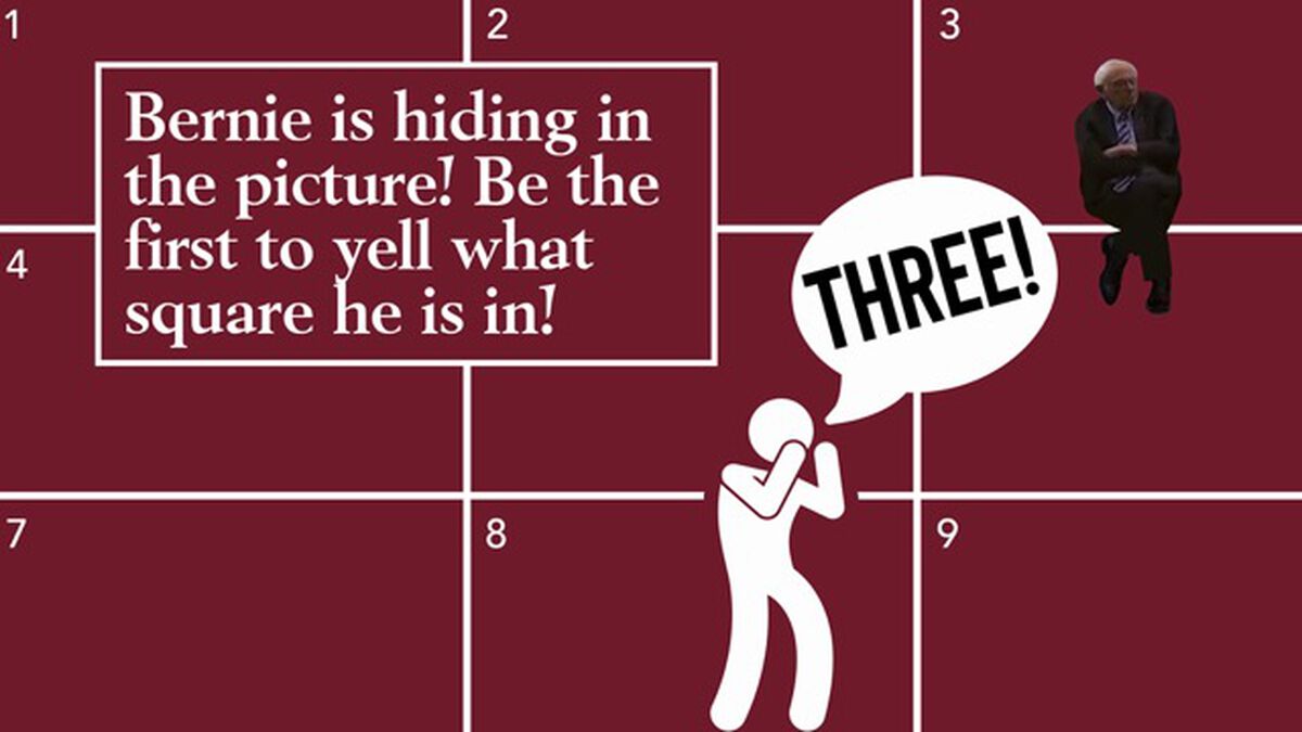 Where's Bernie? Volume 2 image number null